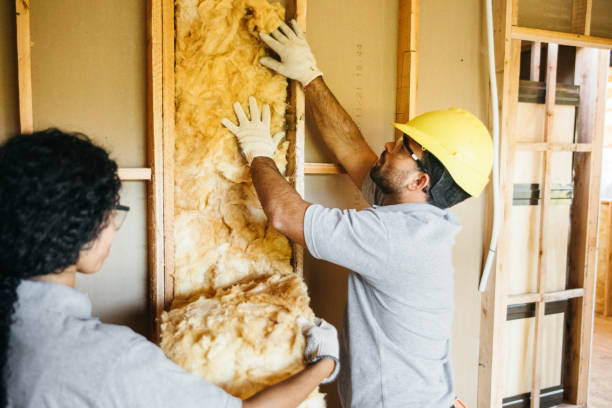 Types of Insulation We Offer in Springville, UT